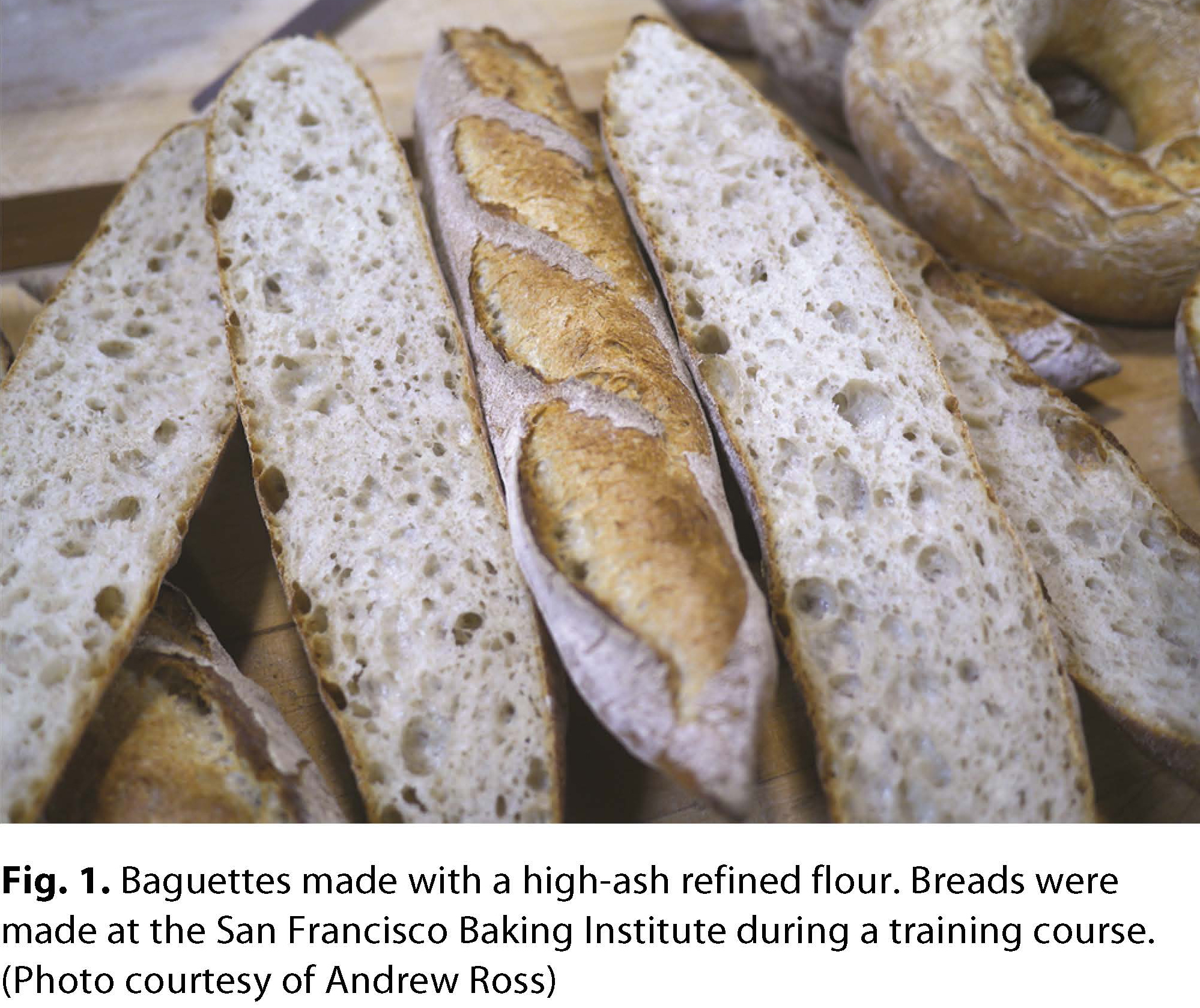Flour Quality and Artisan Bread
